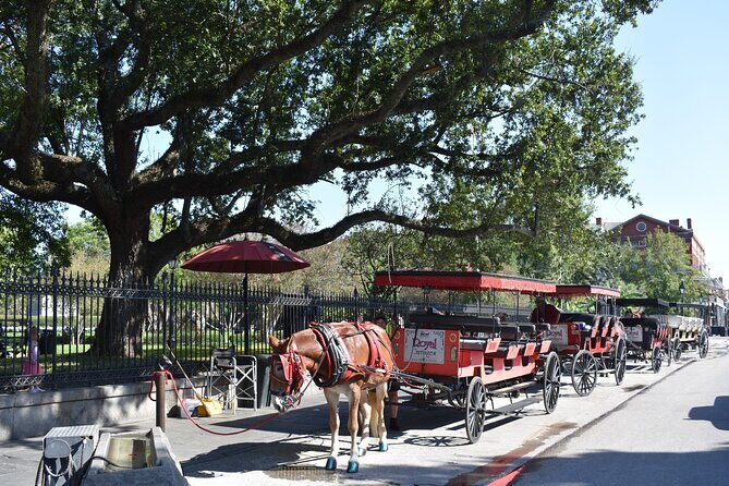 45-Minute French Quarter Highlights Tour in New Orleans - Key Highlights I’d Prioritize