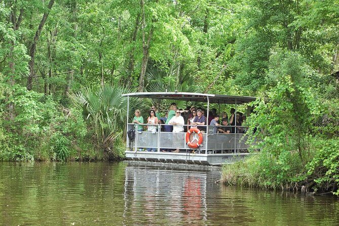 90-Minute Jean Lafitte Swamp and Bayou Tour with Transportation - Key Highlights at a Glance