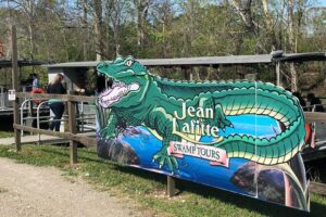 90-Minute Jean Lafitte Swamp and Bayou Tour with Transportation - The Pickup Reality: When Your Driver Starts Looking for You