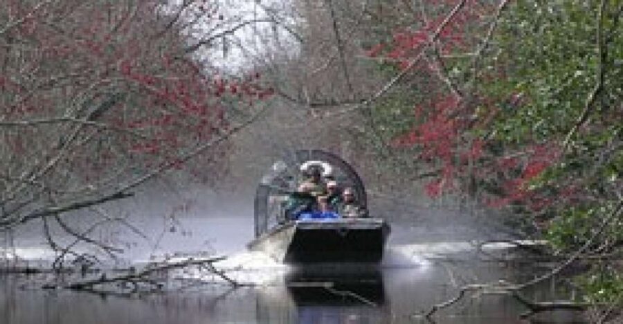 Airboat Tour of Louisiana Swamps - The Real Star: A 2-Hour High-Speed Airboat Run