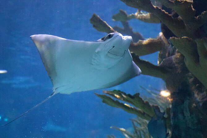 Audubon Aquarium and Insectarium Ticket - Key highlights at a glance