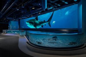 Audubon Aquarium and Insectarium Ticket - Location: close enough to pair with a French Quarter day