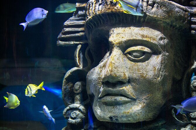 Audubon Aquarium and Insectarium Ticket - VR add-on: worth it only if you really want it