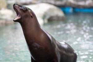 Audubon Zoo Ticket - Planning Your 3–4 Hour Zoo Day Without Feeling Rushed