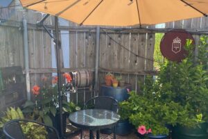 Craft Cider & Mead Tasting in New Orleans (45 Minutes) - What you’ll actually taste in 45 minutes