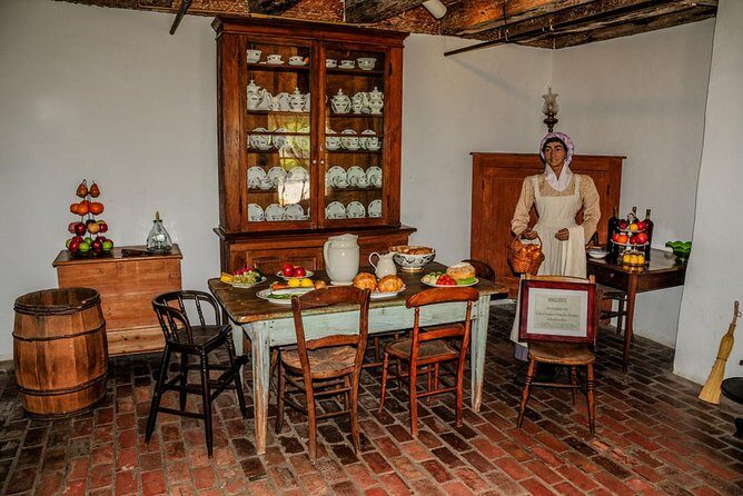 Destrehan Plantation and Swamp Tour from New Orleans - Wildlife Expectations: Gators, Close Calls, and Why Weather Changes Everything