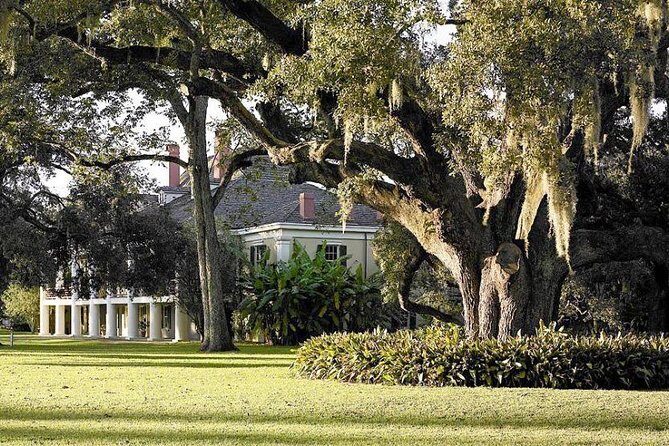 Destrehan Plantation and Swamp Tour from New Orleans - Price and Logistics: Does $189 Make Sense for What You Get?