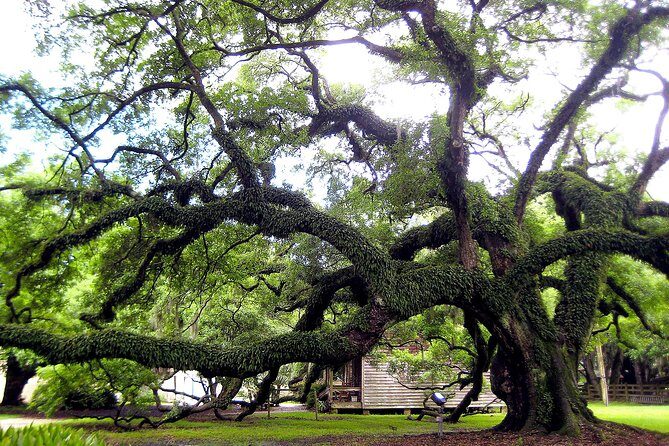 Destrehan Plantation Tour - The 1811 Slave Revolt Exhibit: what to look for