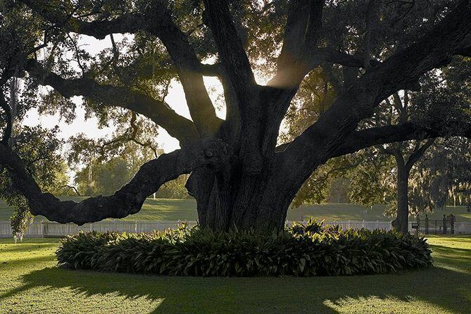 Destrehan Plantation Tour - How long you should plan (so you don’t feel rushed)