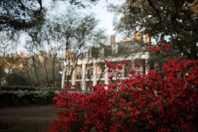 Explore Oak Alley Plantation Guided Tour with Transportation - Key highlights at a glance