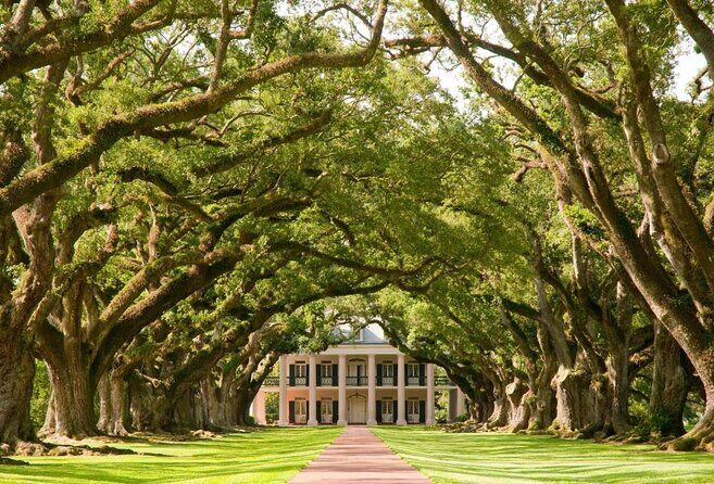 Explore Oak Alley Plantation Guided Tour with Transportation - Price and timing: where the $80 value really lands