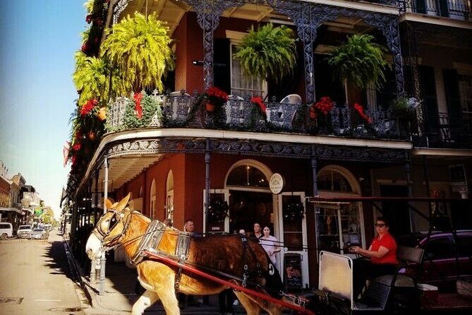 French Quarter Tour with Local Guide and Creole Stories - Key points before you go