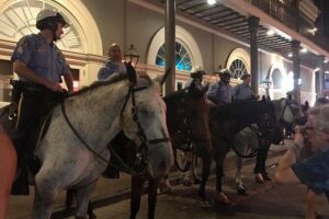 French Quarter Walking Tour - Ursuline Convent: A Quieter Pause Inside a Party Zone