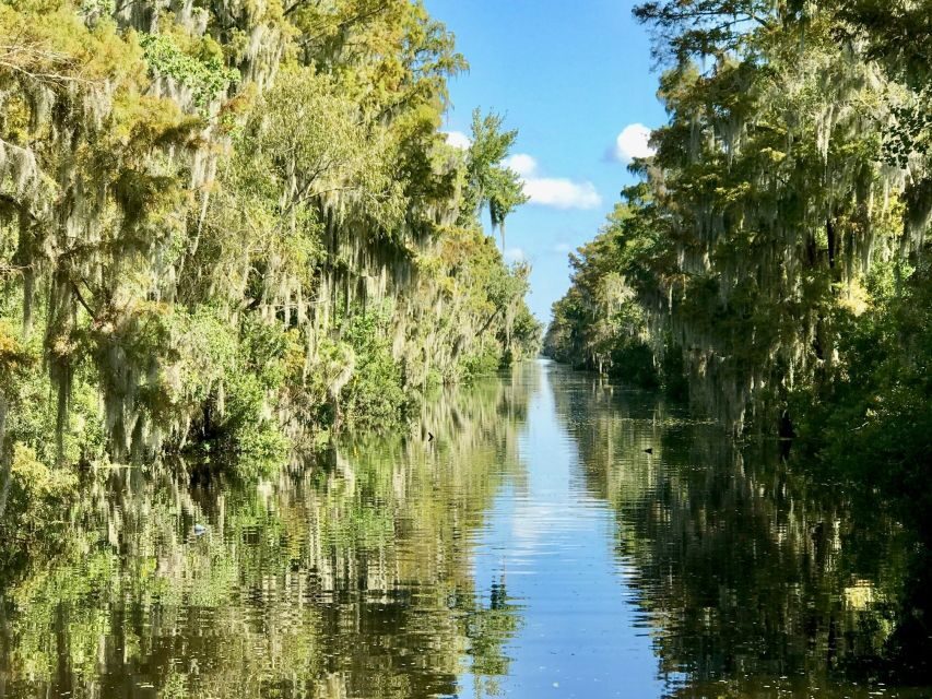 From Lafitte: Swamp Tours South of New Orleans by Airboat - What to pack and who should skip the open-air ride