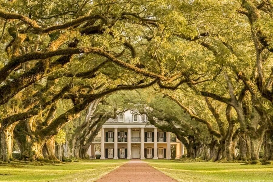 From New Orleans: Oak Alley Plantation Tour - Should You Book the Oak Alley Plantation Tour from New Orleans?