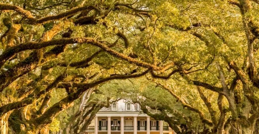 From New Orleans: Oak Alley Plantation Tour - Price and Value for a Half-Day from New Orleans