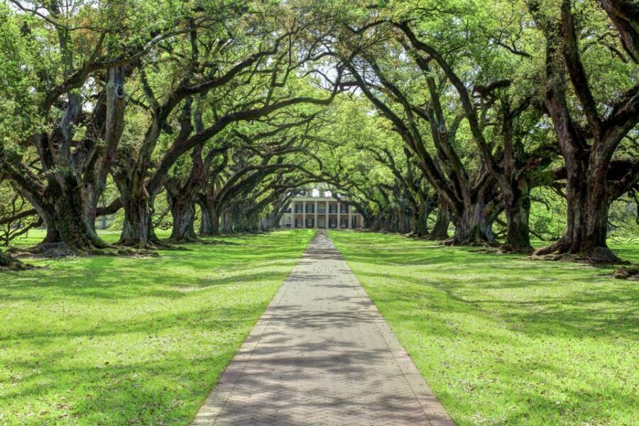 From New Orleans: Oak Alley Plantation Tour - Who This Tour Fits Best (and Who Might Want Something Different)
