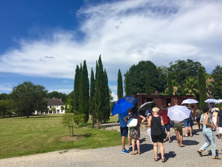 From New Orleans: Whitney and Laura Guided Plantation Tour - Key Highlights You’ll Care About