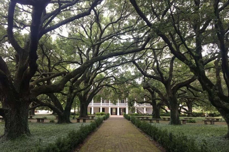 From New Orleans: Whitney Plantation and Airboat Tour Combo - Key takeaways before you go
