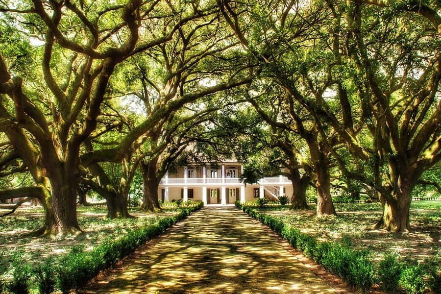 From New Orleans: Whitney Plantation Ticket & Transportation - The outdoor trail and historic outbuildings: where the story gets physical