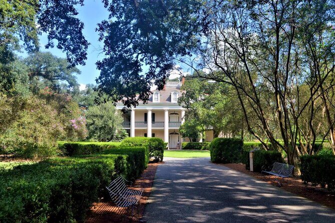 Full-Day Oak Alley Plantation & Airboat Swamp w/Transfer - Language, Guides, and How to Make It Easier