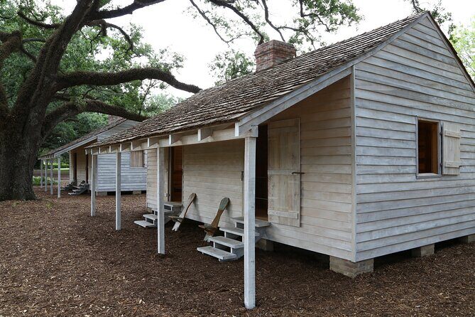 Full Day Plantation and Swamp Tour in New Orleans - Key things to know before you go
