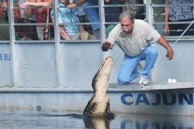 Full Day Plantation and Swamp Tour in New Orleans - Cajun Pride Swamp Tours: 90 minutes on a pontoon boat