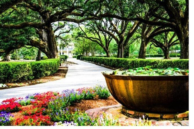 Garden District History and Homes Walking Tour - Quick take on this Garden District tour
