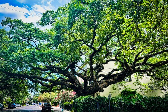 Garden District Walking Tour - Small-group attention: why max 14 changes the experience