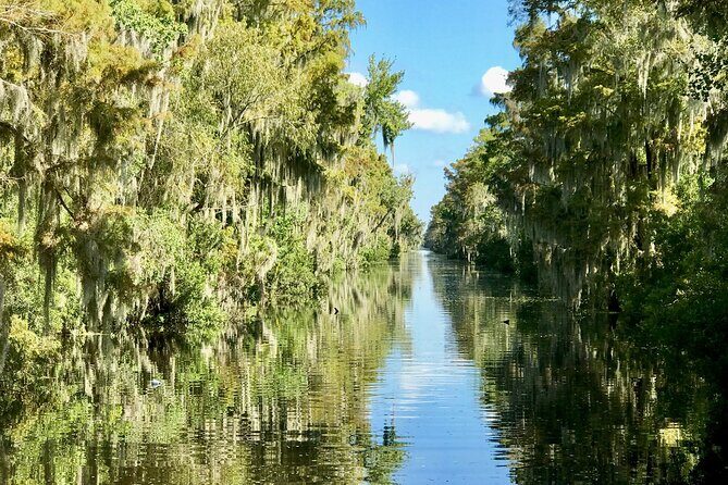 Guided Boat Tour of New Orleans Bayou - The Guide Experience: Live Commentary, Culture Stories, and Real Search Tactics