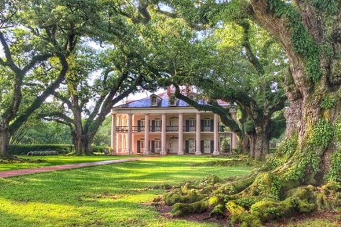 Half-Day Oak Alley Plantation Tour - From New Orleans Hotel Pickup to Oak Alley, Smooth or Tight?