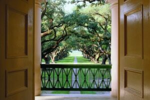 Half-Day Oak Alley Plantation Tour - The Oak Alley Visit: What You’ll See in About 2 Hours
