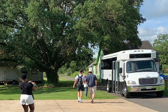 Half-Day Oak Alley Plantation Tour - Driver and Bus: When Comfort Makes the Whole Day Better