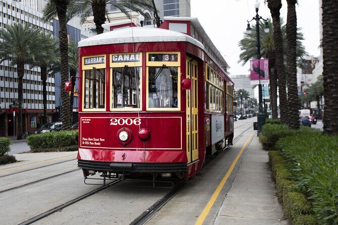 Henley's Private Tours - "Educational-Thoughtful-Entertaining" - Should You Book Henley’s Private Tours in New Orleans?