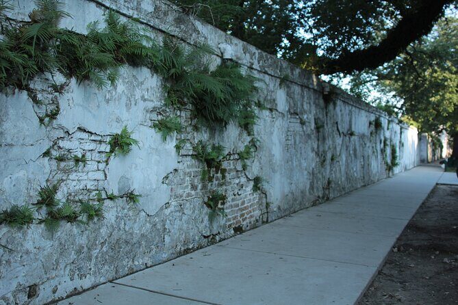 Historic Garden District Walking Tour - Comfort and walking reality in New Orleans