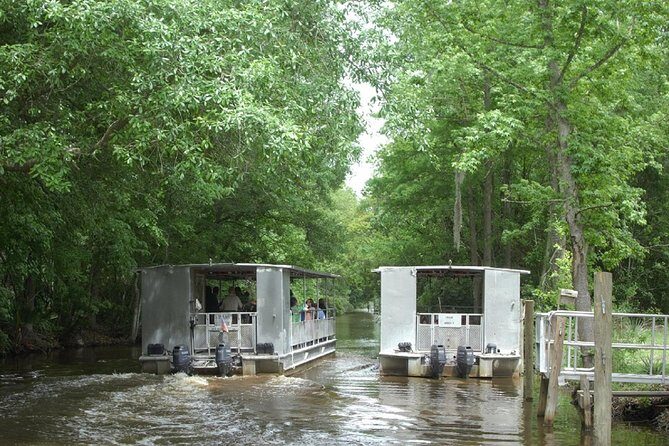 Jean Lafitte 90-Minute Swamp and Bayou Boat Tour - Wildlife Spotting: What You’ll See (and What Can Affect Sightings)