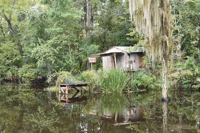 Jean Lafitte 90-Minute Swamp and Bayou Boat Tour - Who Should Book This Jean Lafitte Swamp Tour (and Who Might Skip)