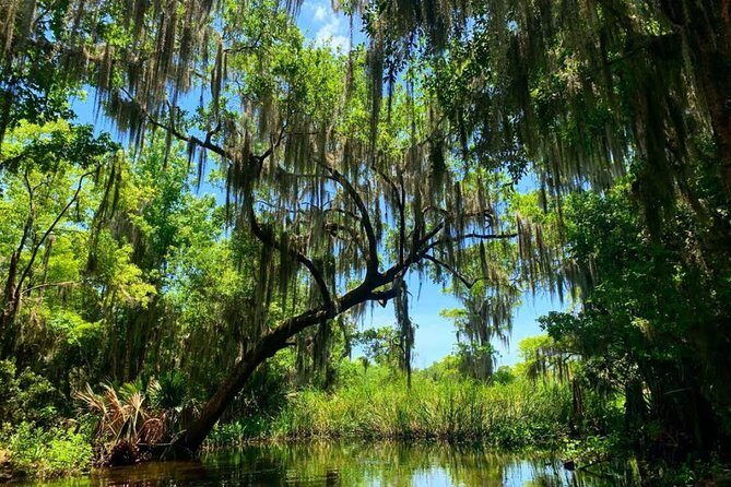 Large Airboat Swamp Tour with Transportation from New Orleans - Hotel Pickup to the Bayou: How the Day Flows