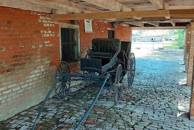 Laura Plantation Half-Day Tour from New Orleans - Who Should Book This Tour—and Who Might Skip It