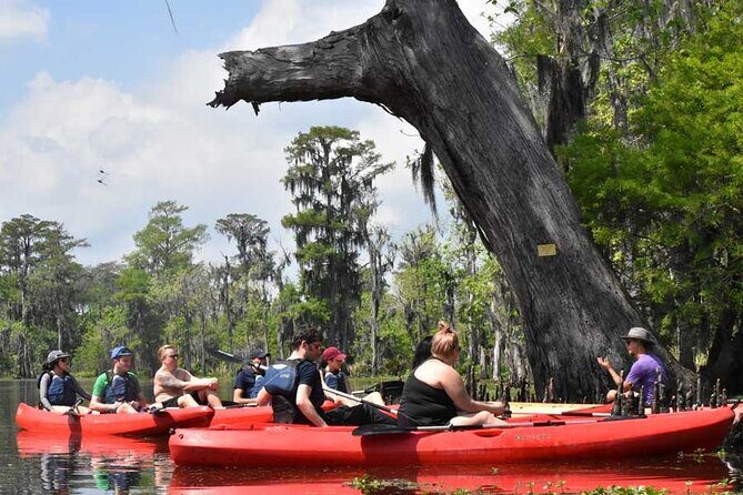 Manchac Swamp Extended 4-Hour Kayak Tour with Pickup - Entering the Maurepas Swamp: What the Day Feels Like