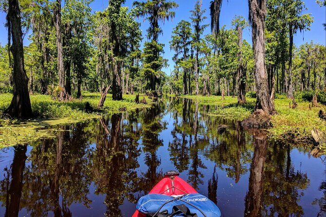 Manchac Swamp Extended 4-Hour Kayak Tour with Pickup - Pickup and Air-Conditioned Comfort Before You Paddle