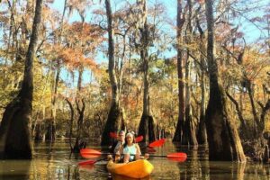 Manchac Swamp Extended 4-Hour Kayak Tour with Pickup - Equipment Included: Kayak, Paddle, and Life Jacket