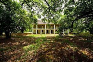 N’awlins Luxury: Laura, Oak Alley or Whitney Plantation Tour w/Transportation - Laura Plantation: Créole heritage and the 1840s cabins