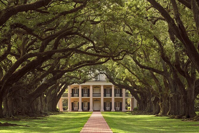 N’awlins Luxury: Laura, Oak Alley or Whitney Plantation Tour w/Transportation - What to watch for: pickup timing and how “guided” may work