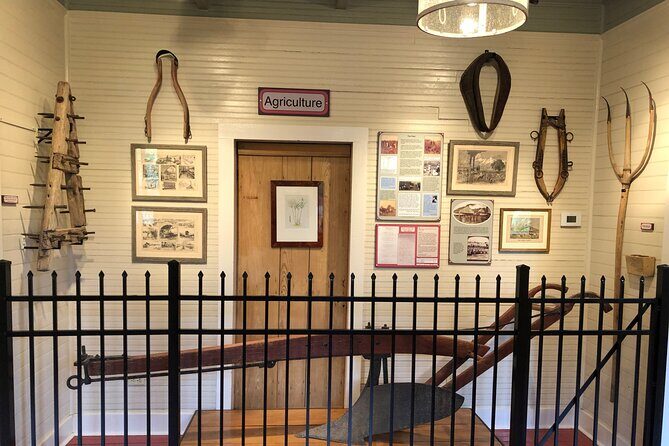 N’awlins Luxury: Laura Plantation Tour w/Transportation - What the 75-Minute Guided Tour Feels Like in Real Time