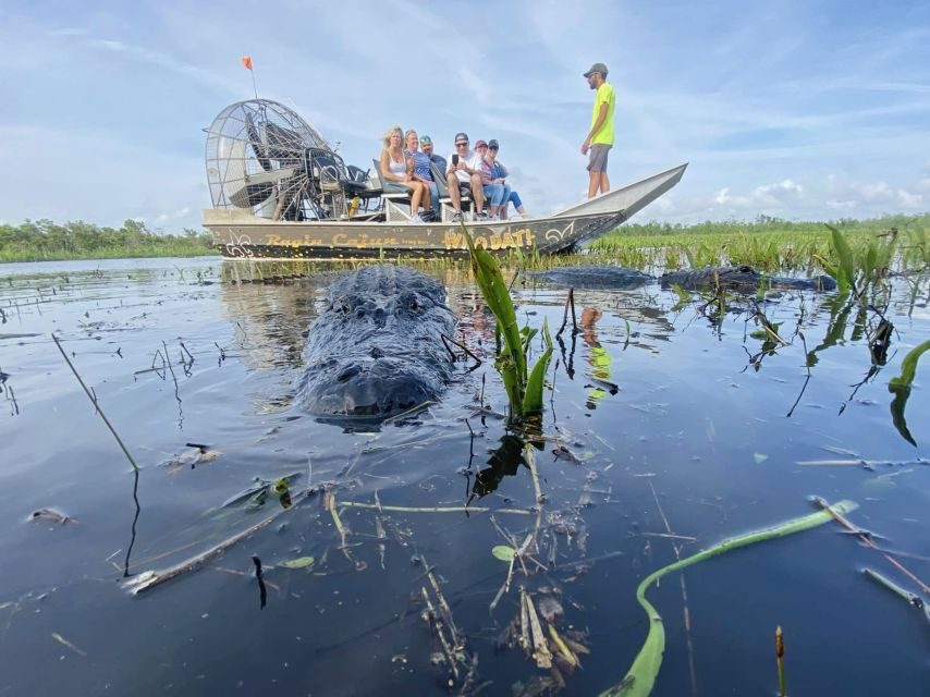 New Orleans: 10 Passenger Airboat Swamp Tour - What to bring (so you’re comfortable the whole ride)