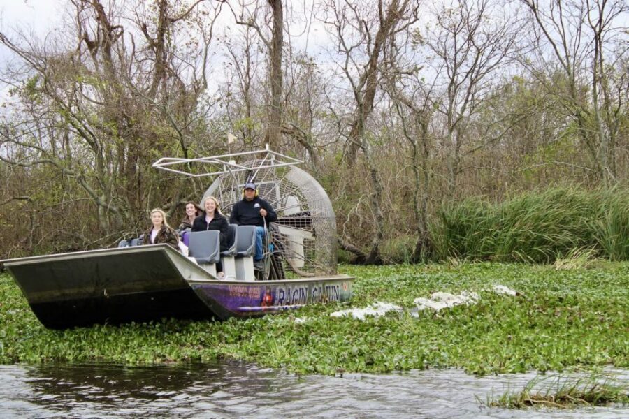 New Orleans: 10 Passenger Airboat Swamp Tour - The bayou scenery: Spanish moss, cypress, and swamp trees