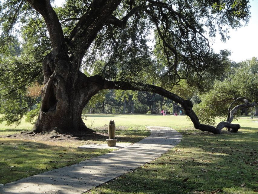 New Orleans: 2-Hour 15-Minute City and Cemetery Tour by Bus - Key Points You’ll Care About
