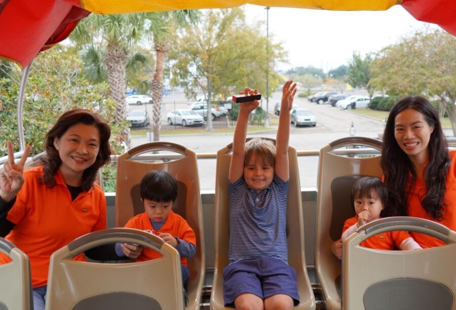 New Orleans: 2 or 3 Day Hop-On Hop-Off Bus with Walking Tour - Should You Book This New Orleans Bus and Walks?