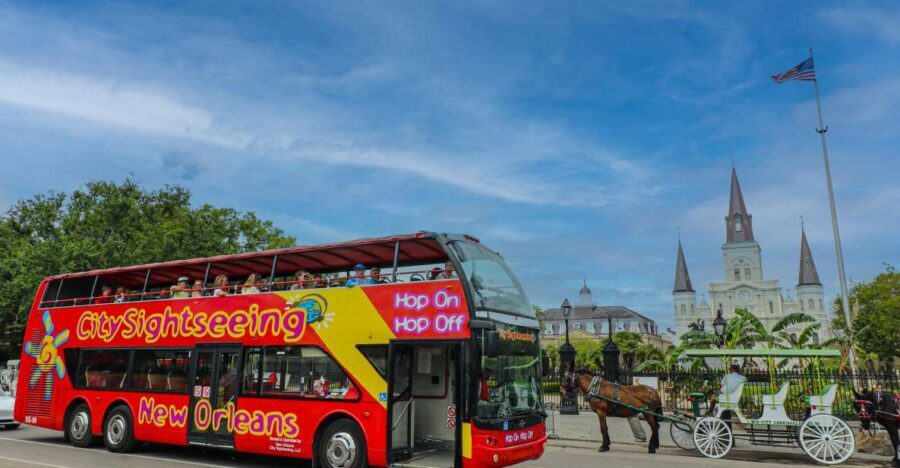 New Orleans: 2 or 3 Day Hop-On Hop-Off Bus with Walking Tour - Comfort, Rules, and Real-World Practicalities